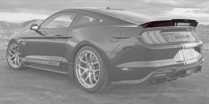 SHELBY REAR.jpg