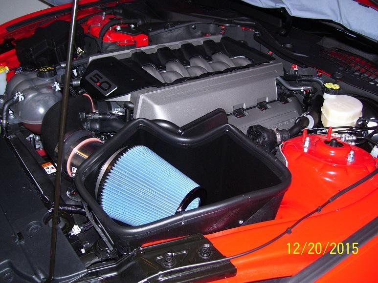 cai saeled 008.JPG