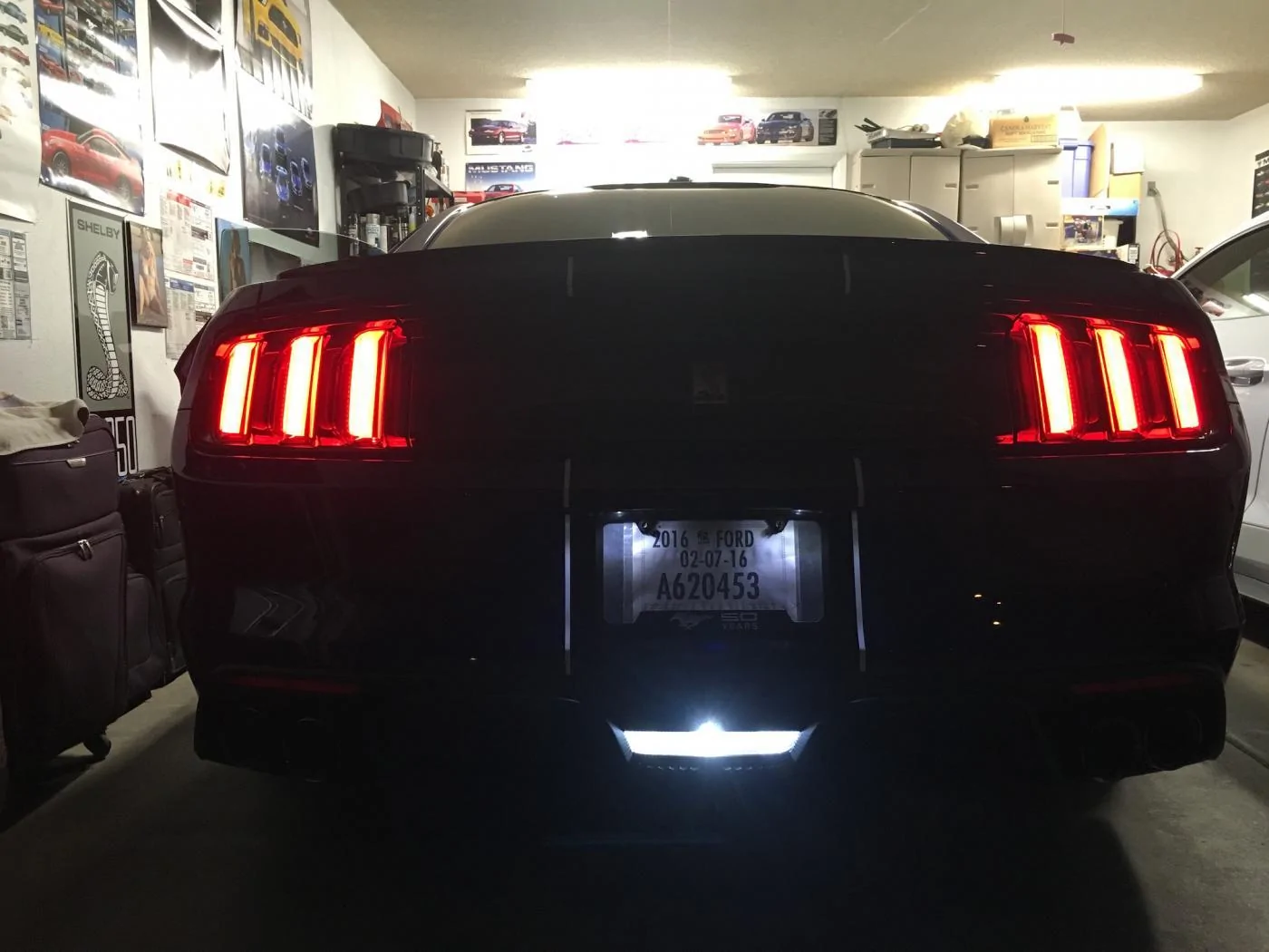 led reverse 2.webp