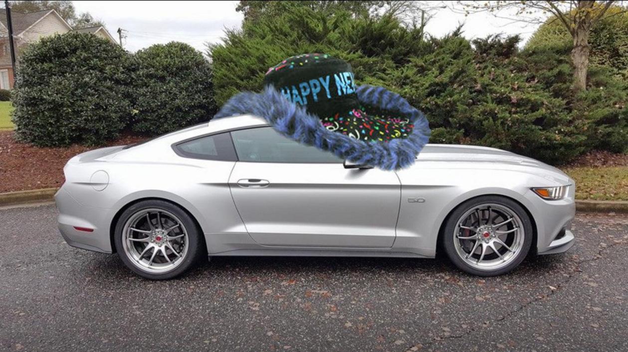 toddfastback15.jpg