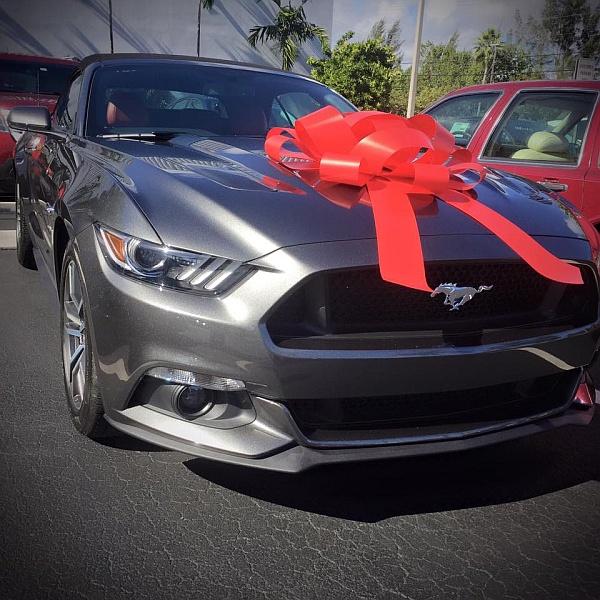 2016 GT with bow_upload.jpg