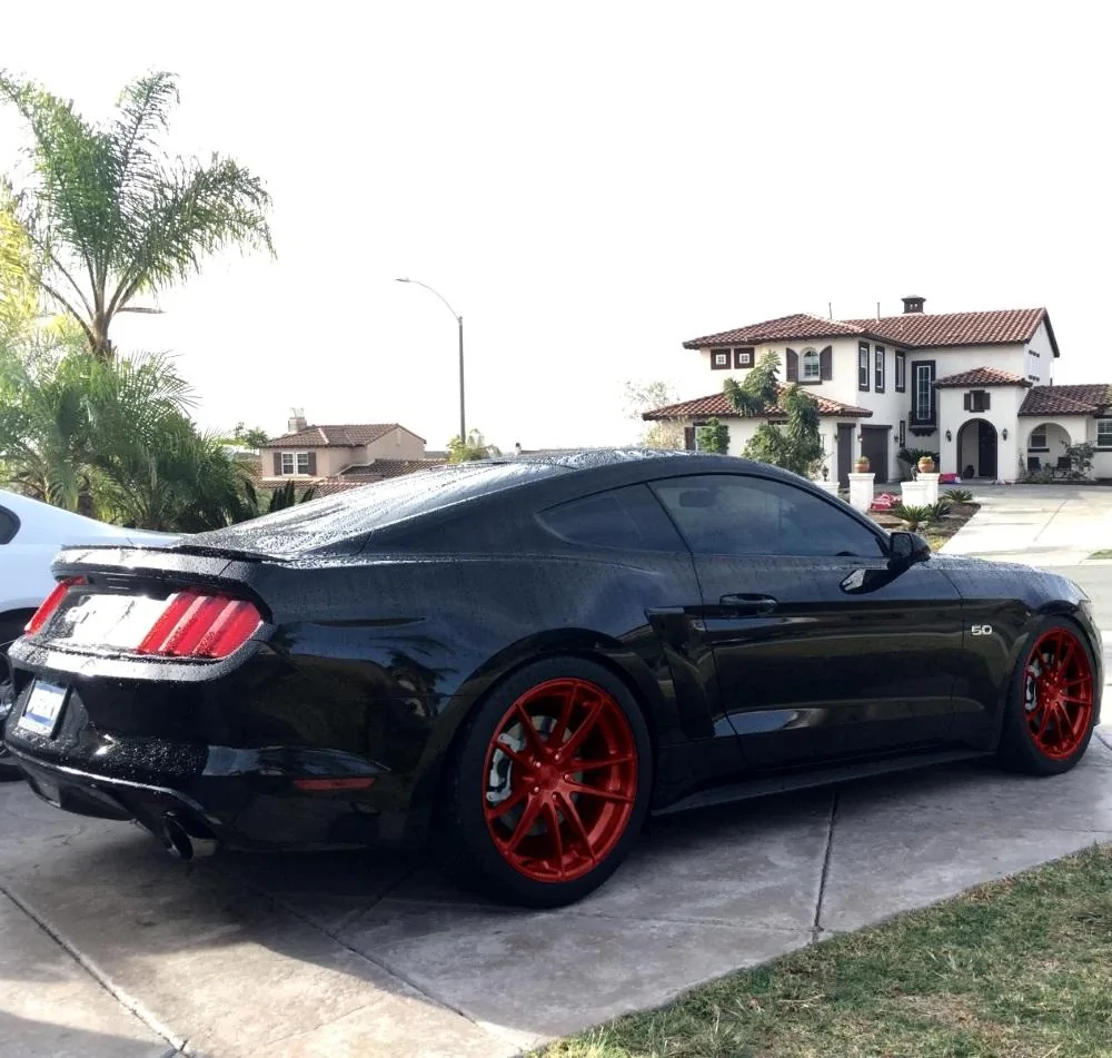 red.webp
