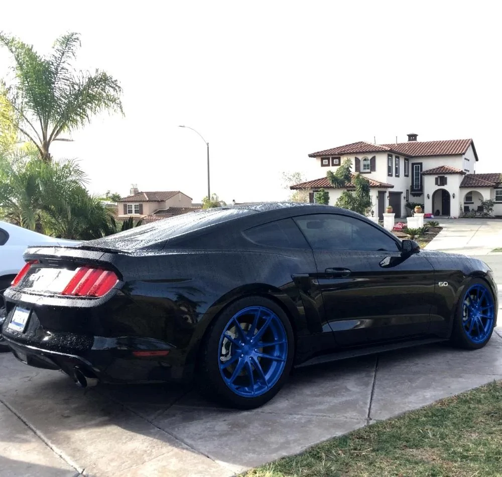 blu.webp