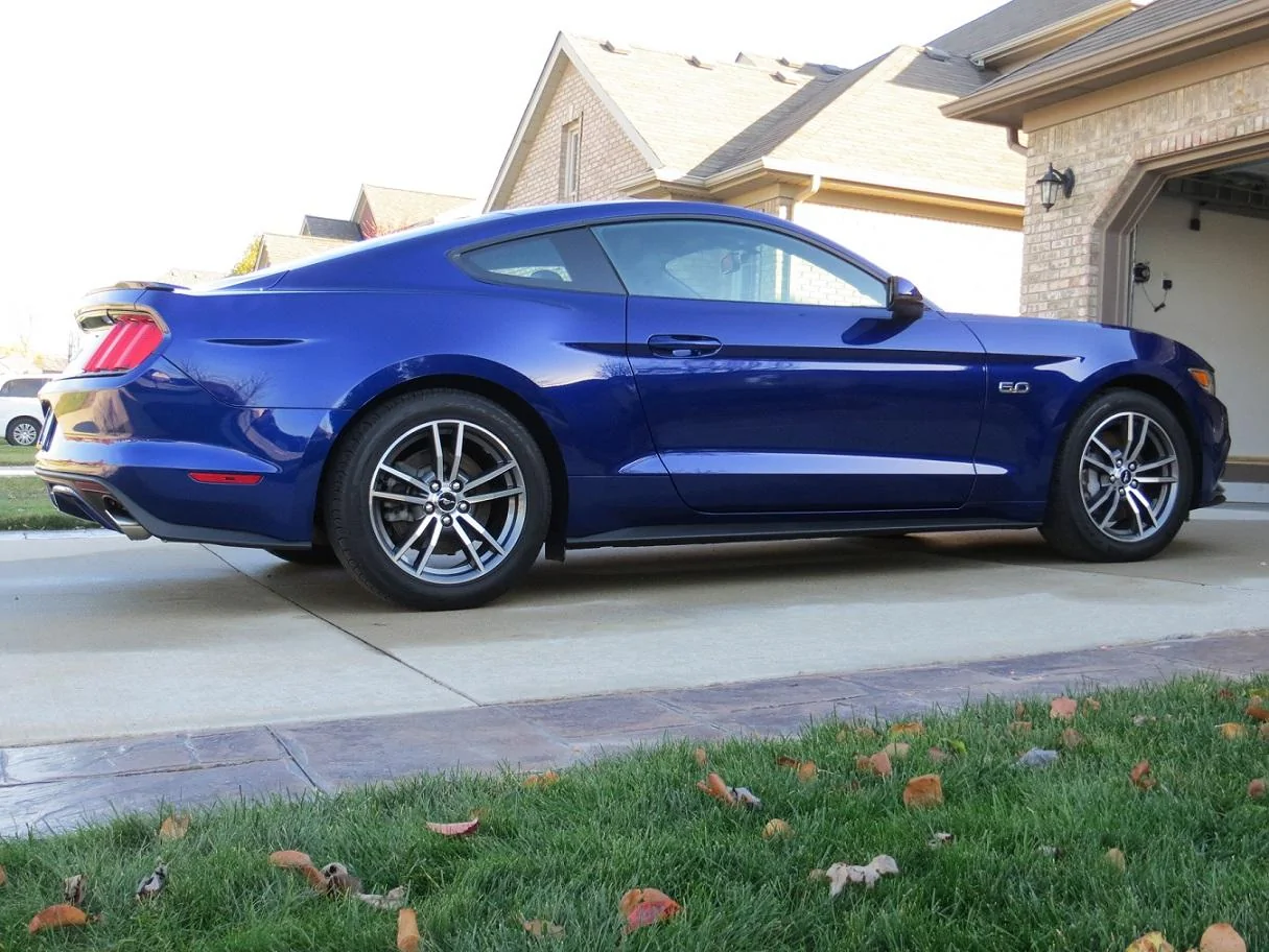 Mustang LowRes2.webp