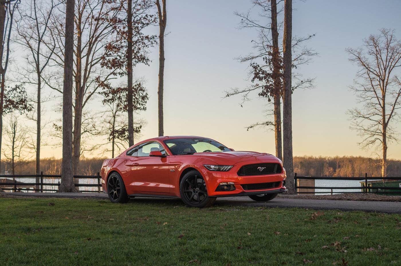 mustang.jpg