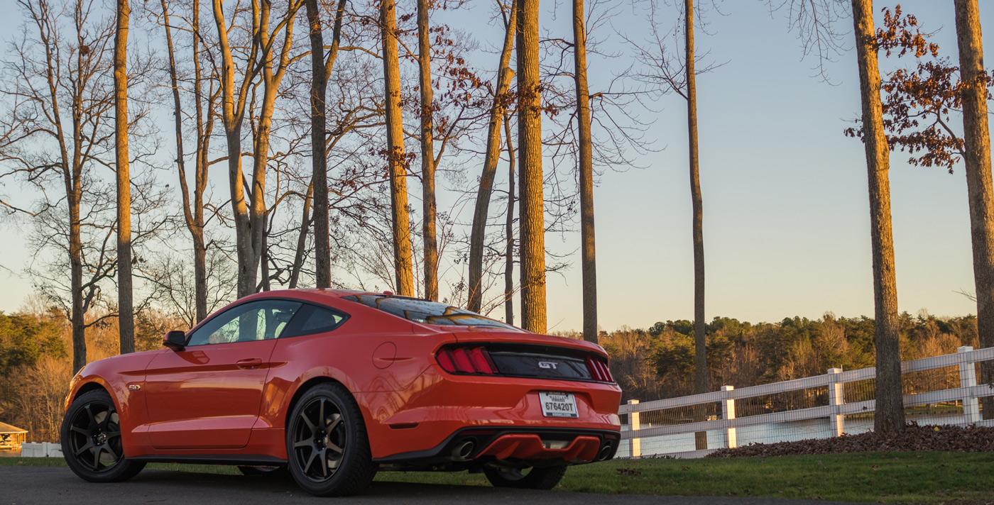 mustang2.jpg