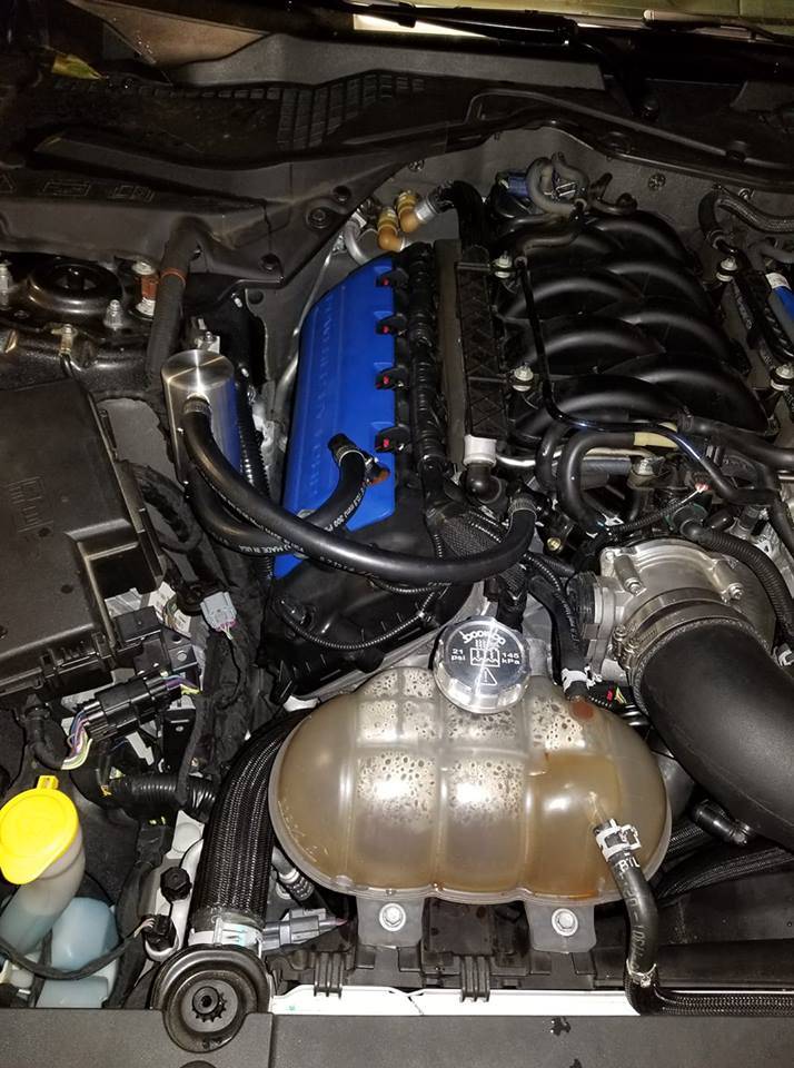 39393030_2079553915410627_6495681905378197504_n.jpg
