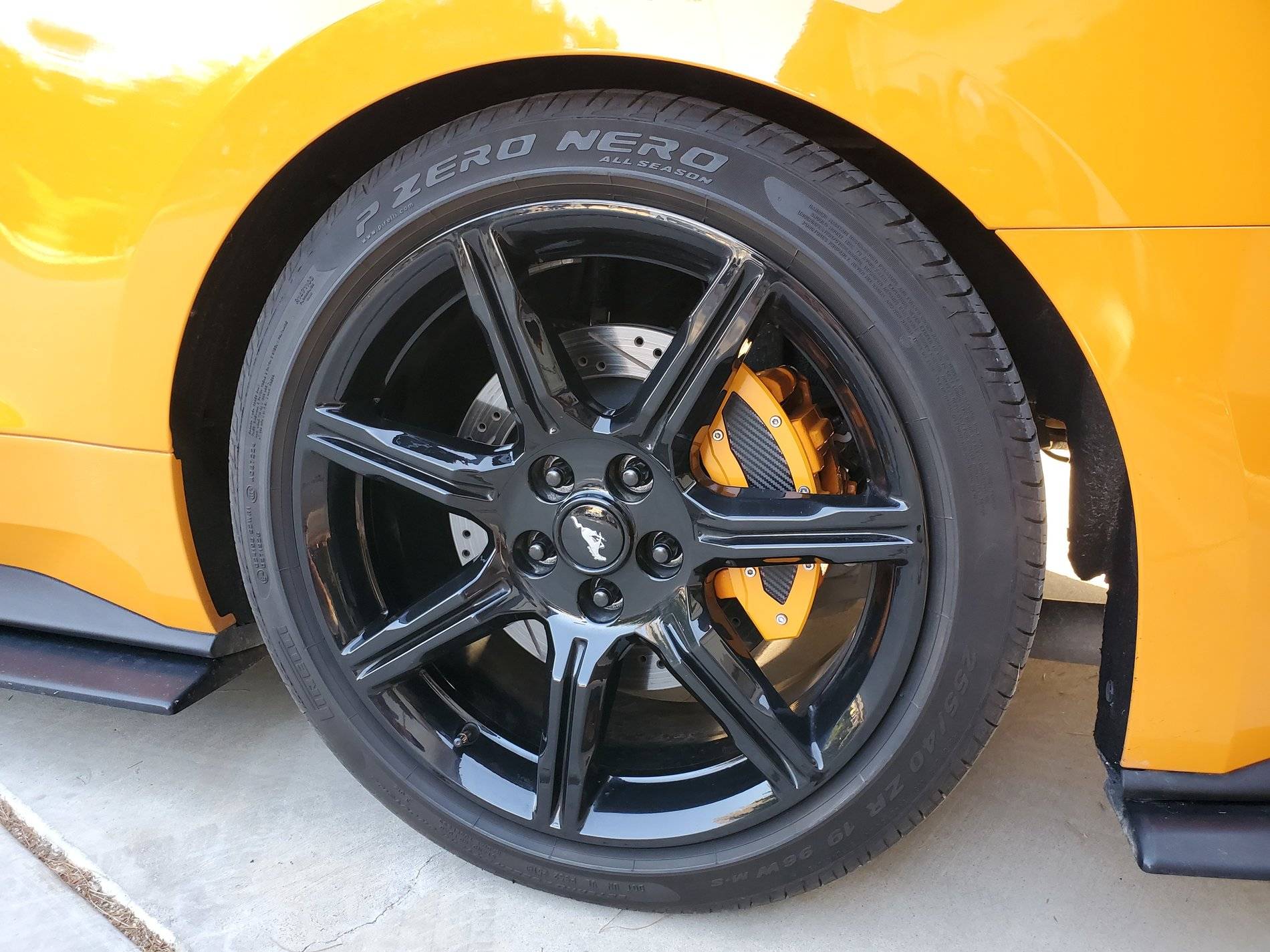 20201003_172256.jpg