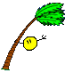 hwindy-h.gif