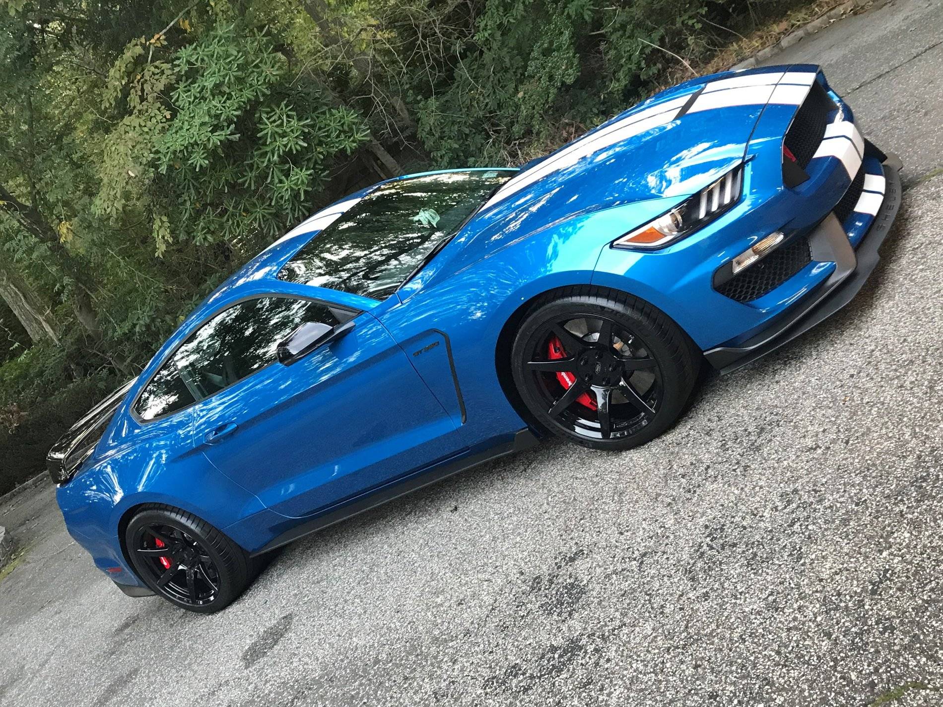Side Angle.jpg