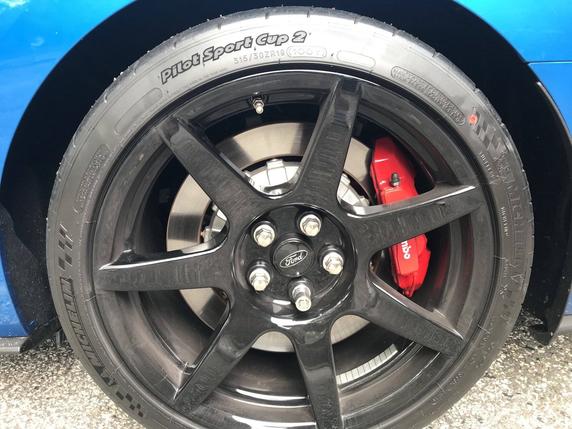 19 GT350R LR Wheel.jpg