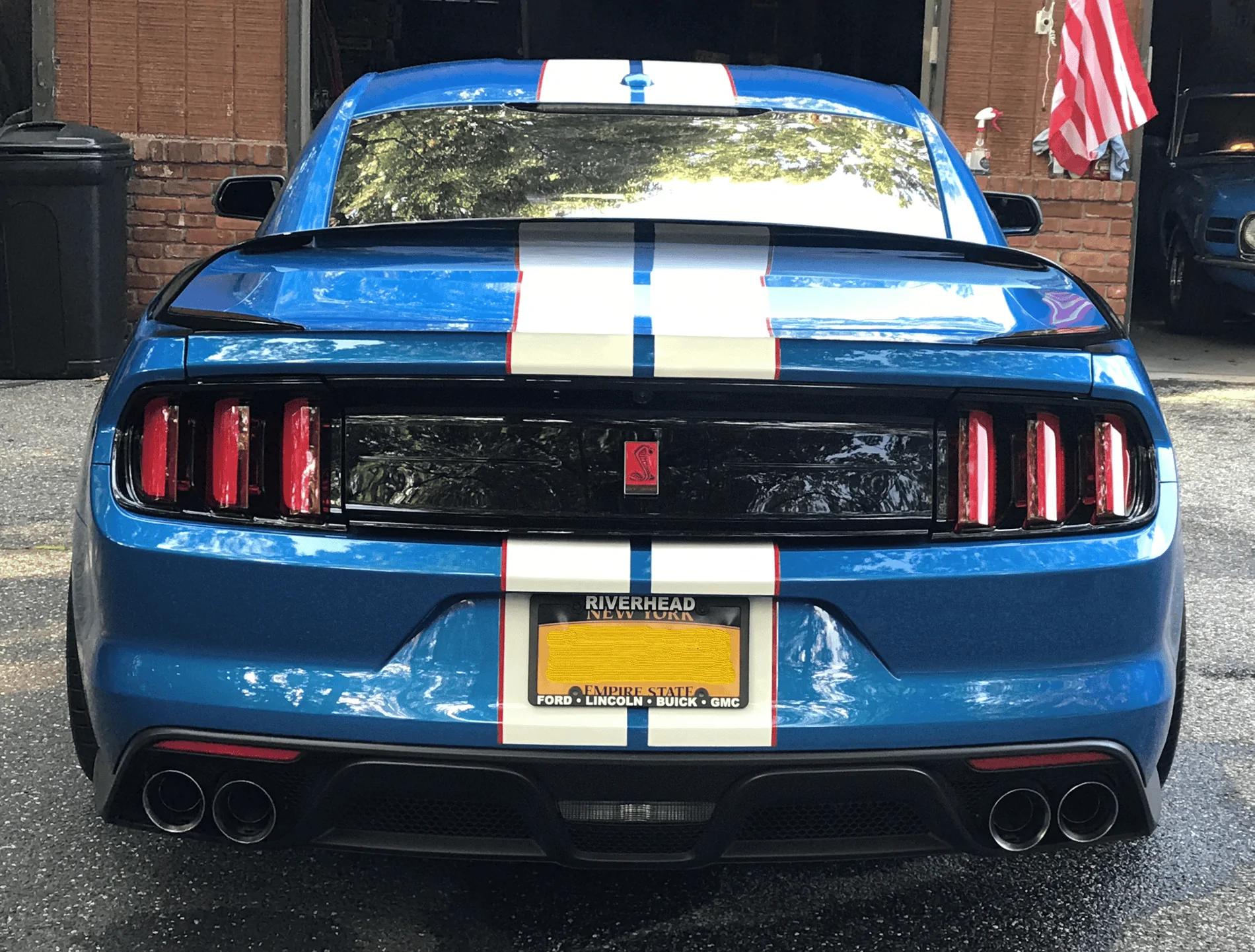 Back (1).jpg.png