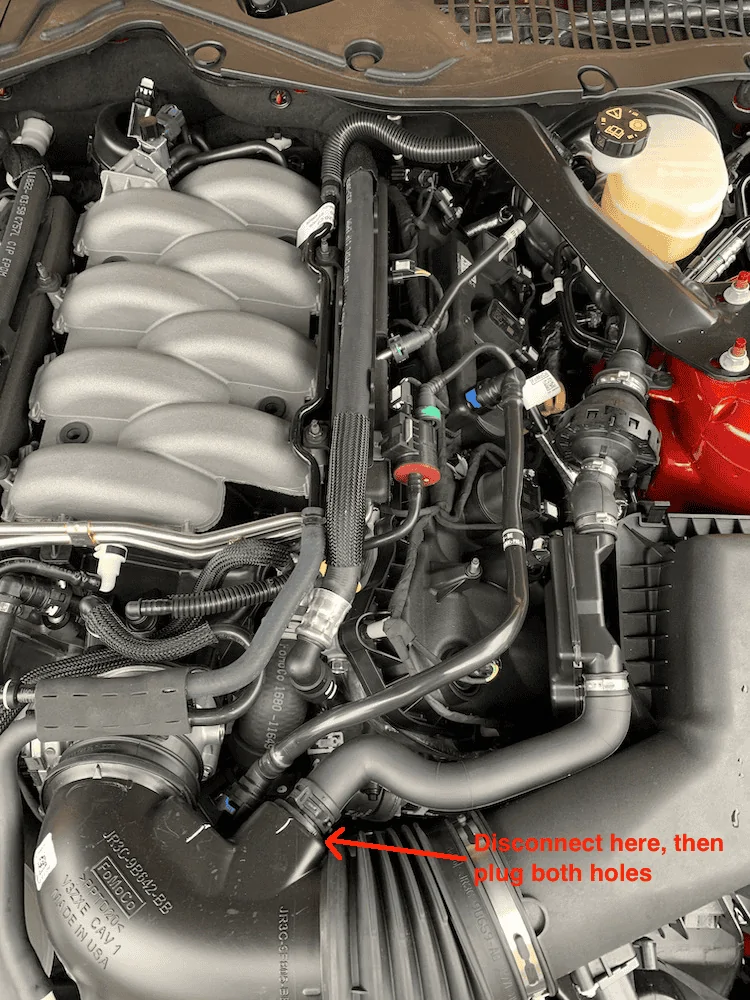 IMG_0979.png