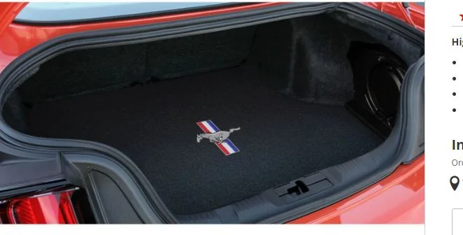 trunk mat.JPG