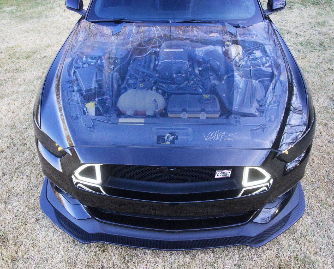 Clear Hood 2 small.jpg