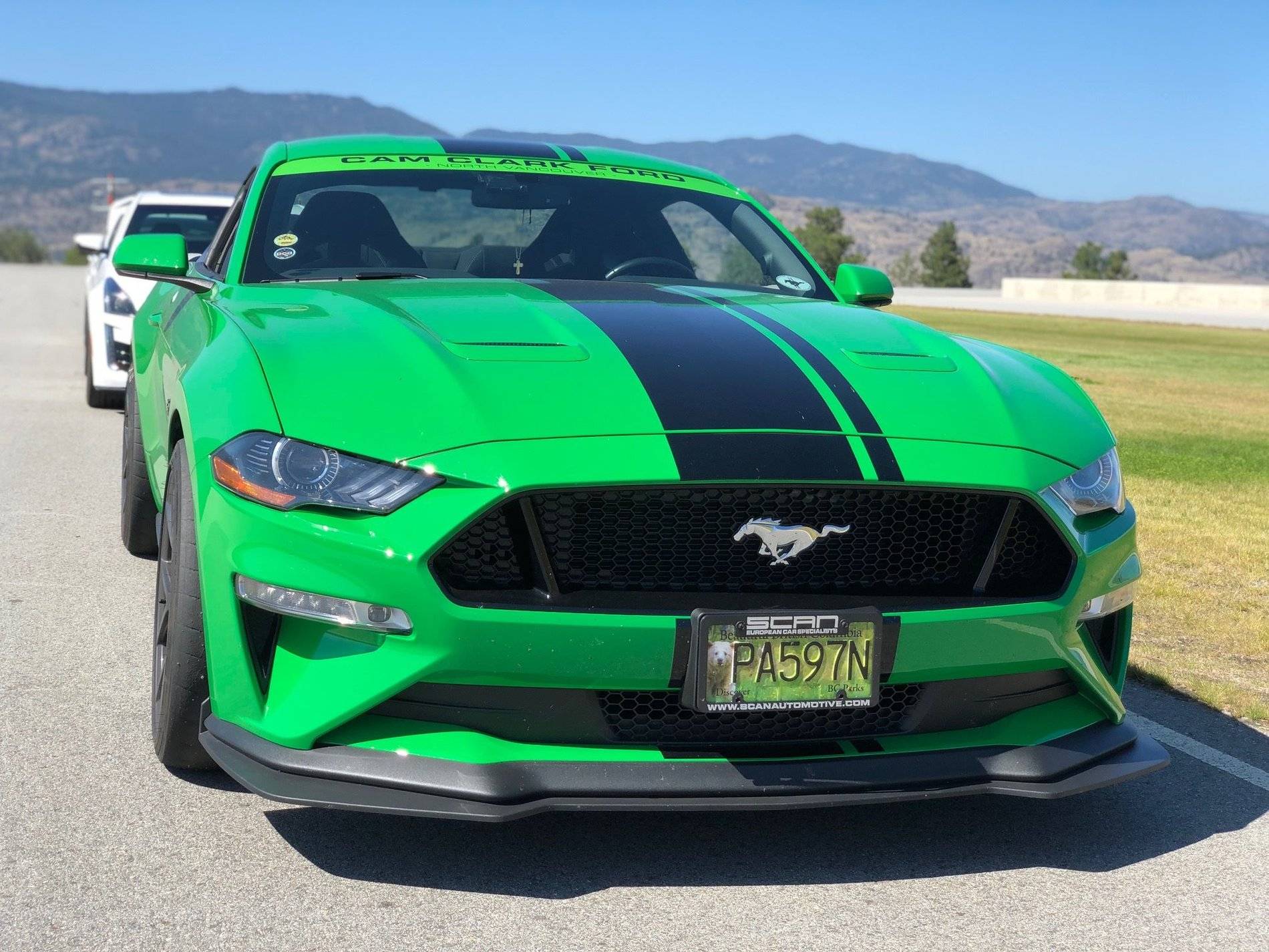 Area 27 mustang.jpg