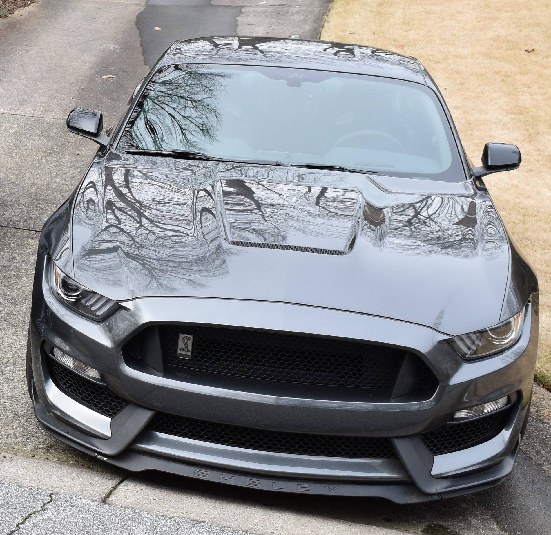 2019GT350g.JPG