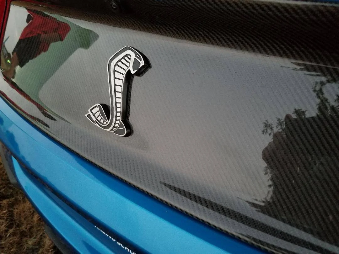carbonback.webp