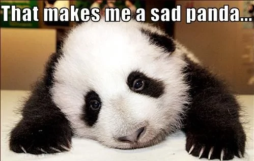 sadpanda.webp