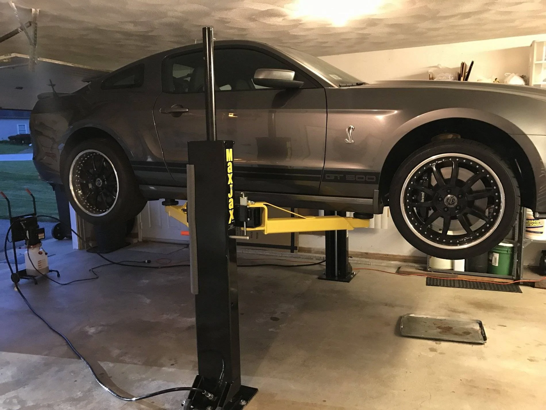 maxx jaxx.JPG