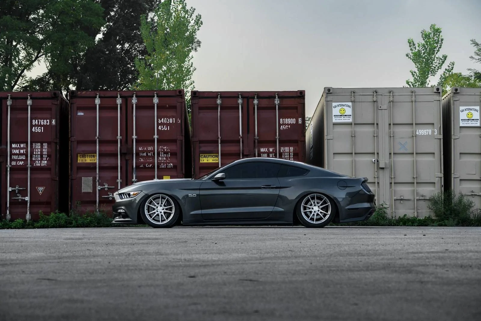 magnetic-ford-mustang-gtpp-s550-rohaan-rf2-brushed-titanium-rotory-forged-concave-wheels.webp