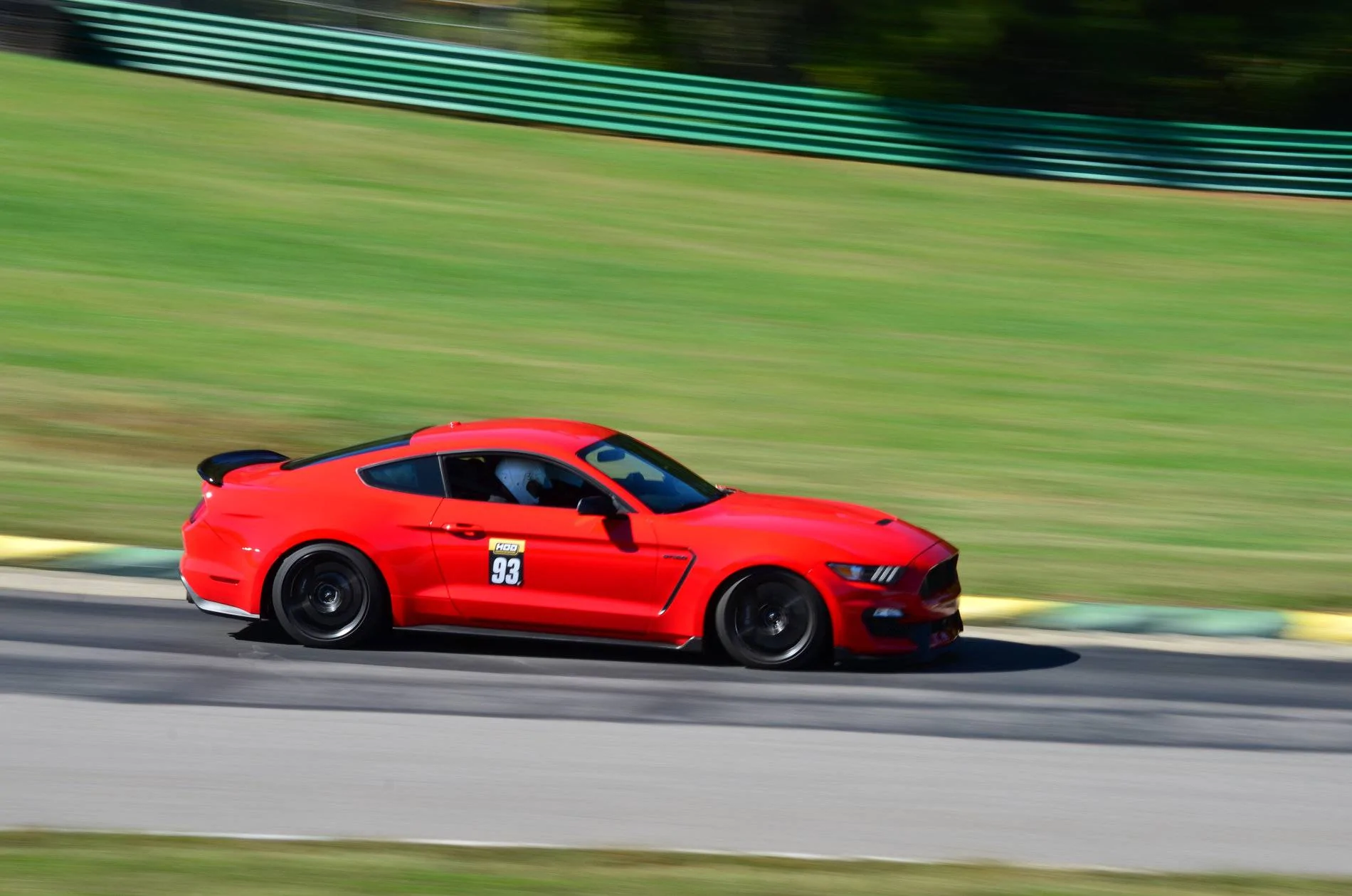 DSC_1032_edited.webp