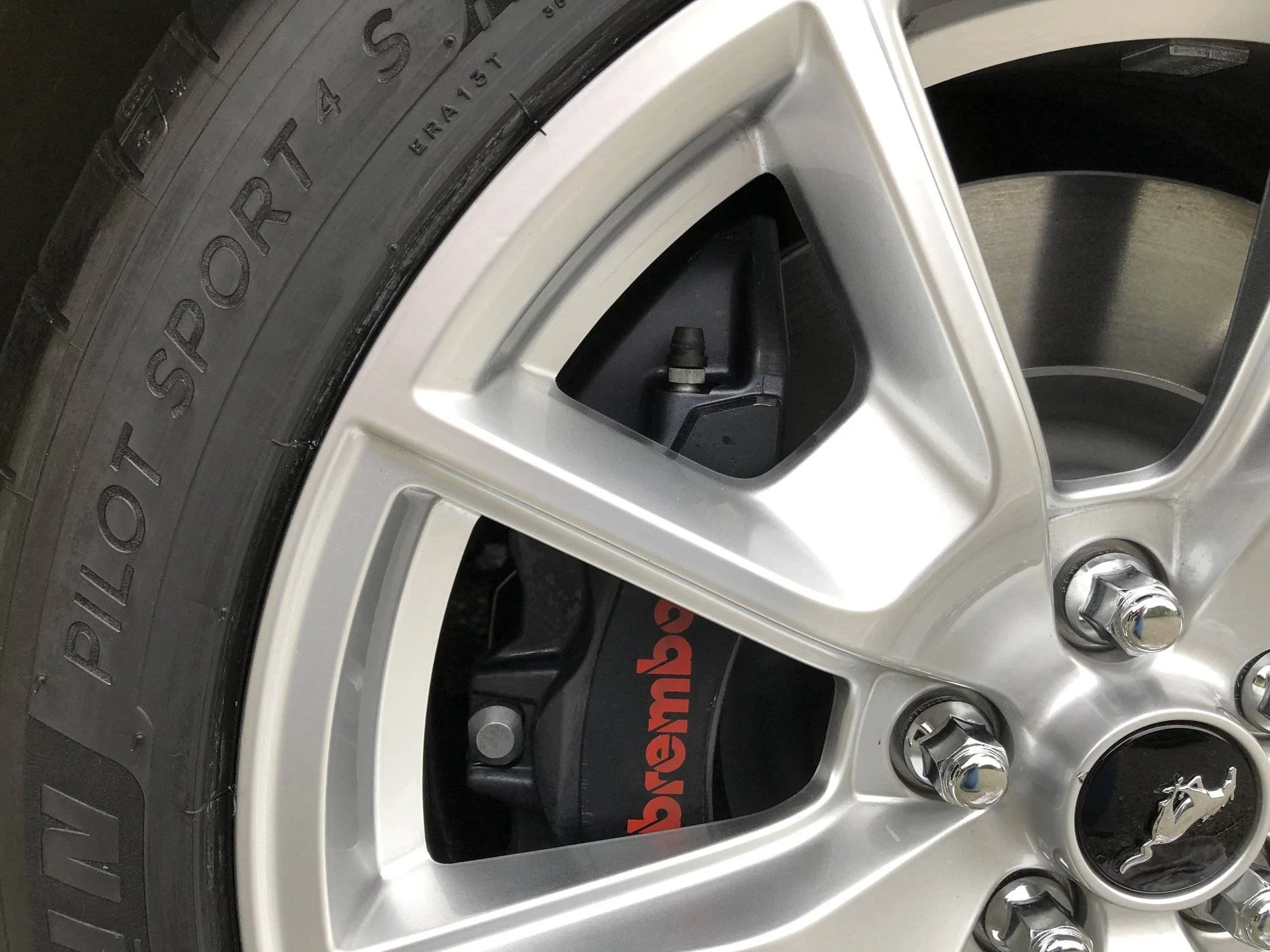 Tire and Caliper.webp