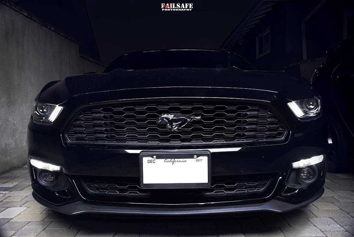 Failsafe Mustang 3 small.jpg