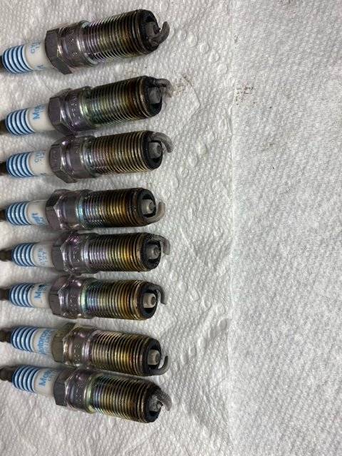 Plugs.jpeg