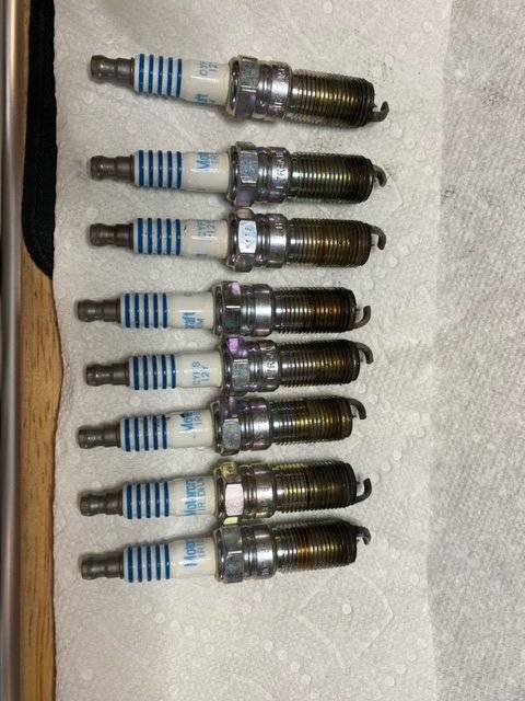 Plugs1.jpeg