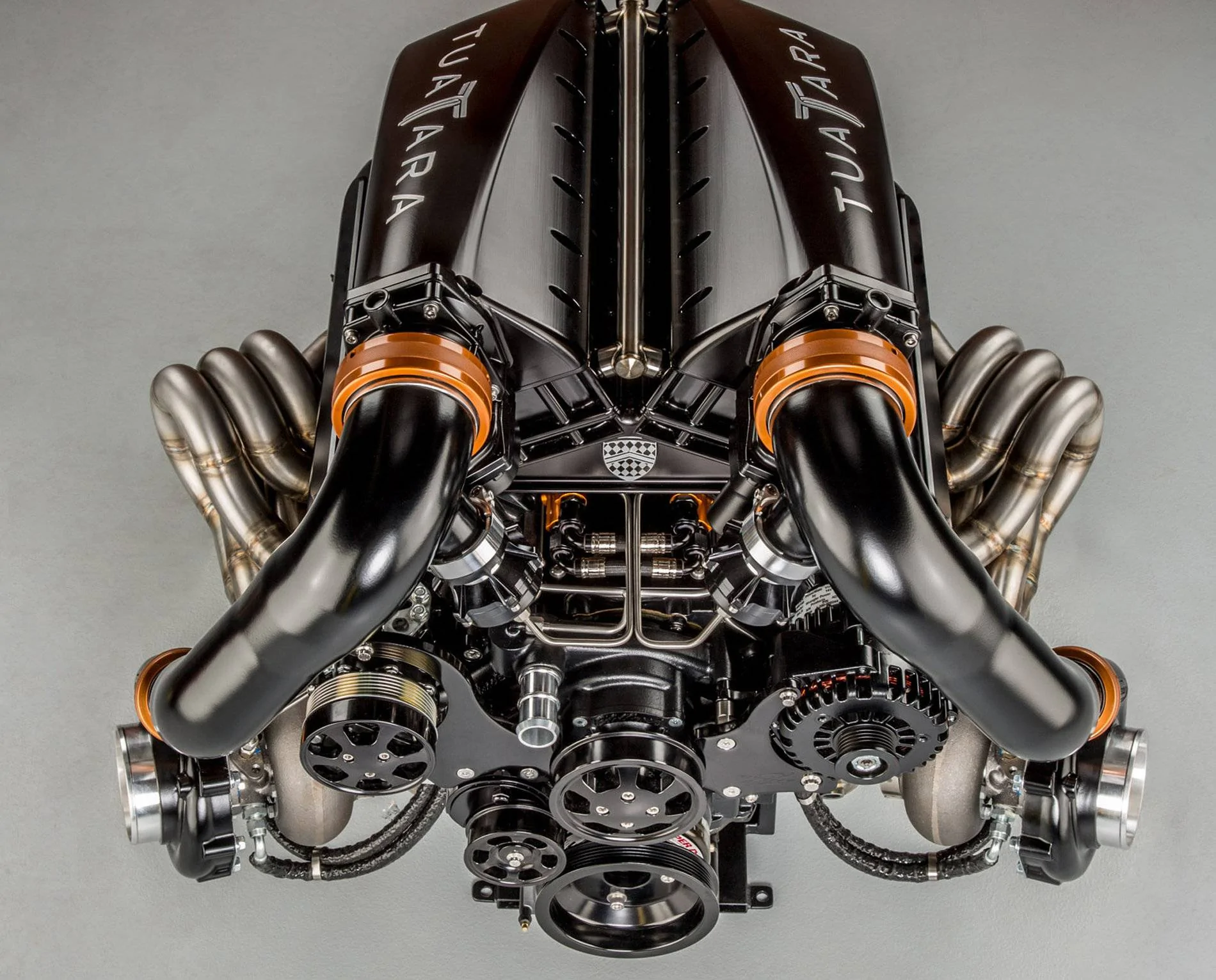 ssc-tuatara_100706049_h.webp