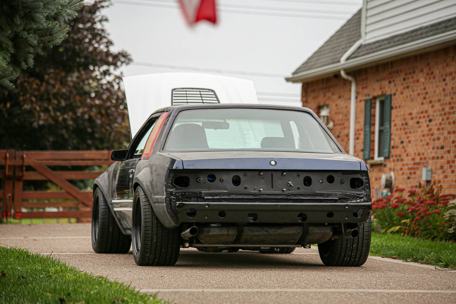 IMG_6207-X3.jpg