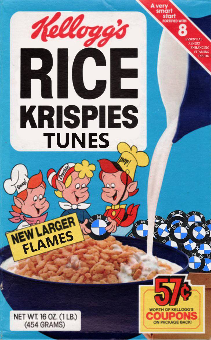 RICE.jpg