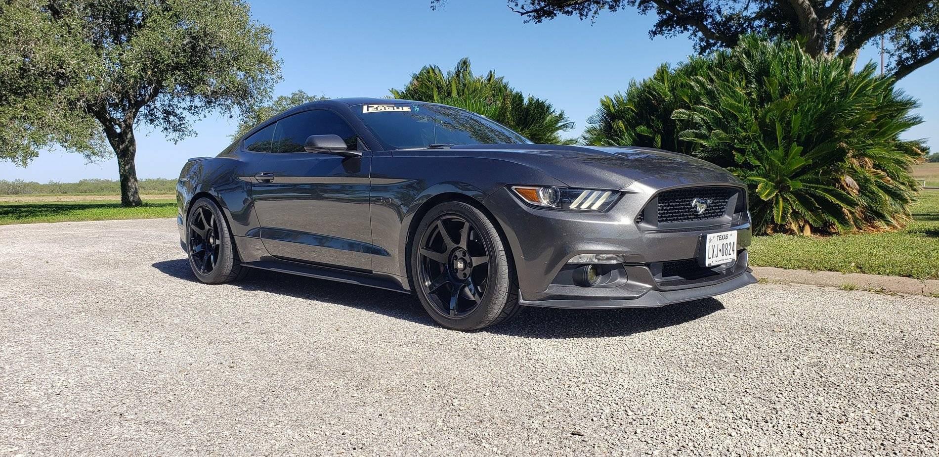 R3501.jpg