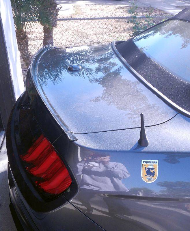 Gray Car Lip Spoiler RSV x800 _DSCN7707.jpg