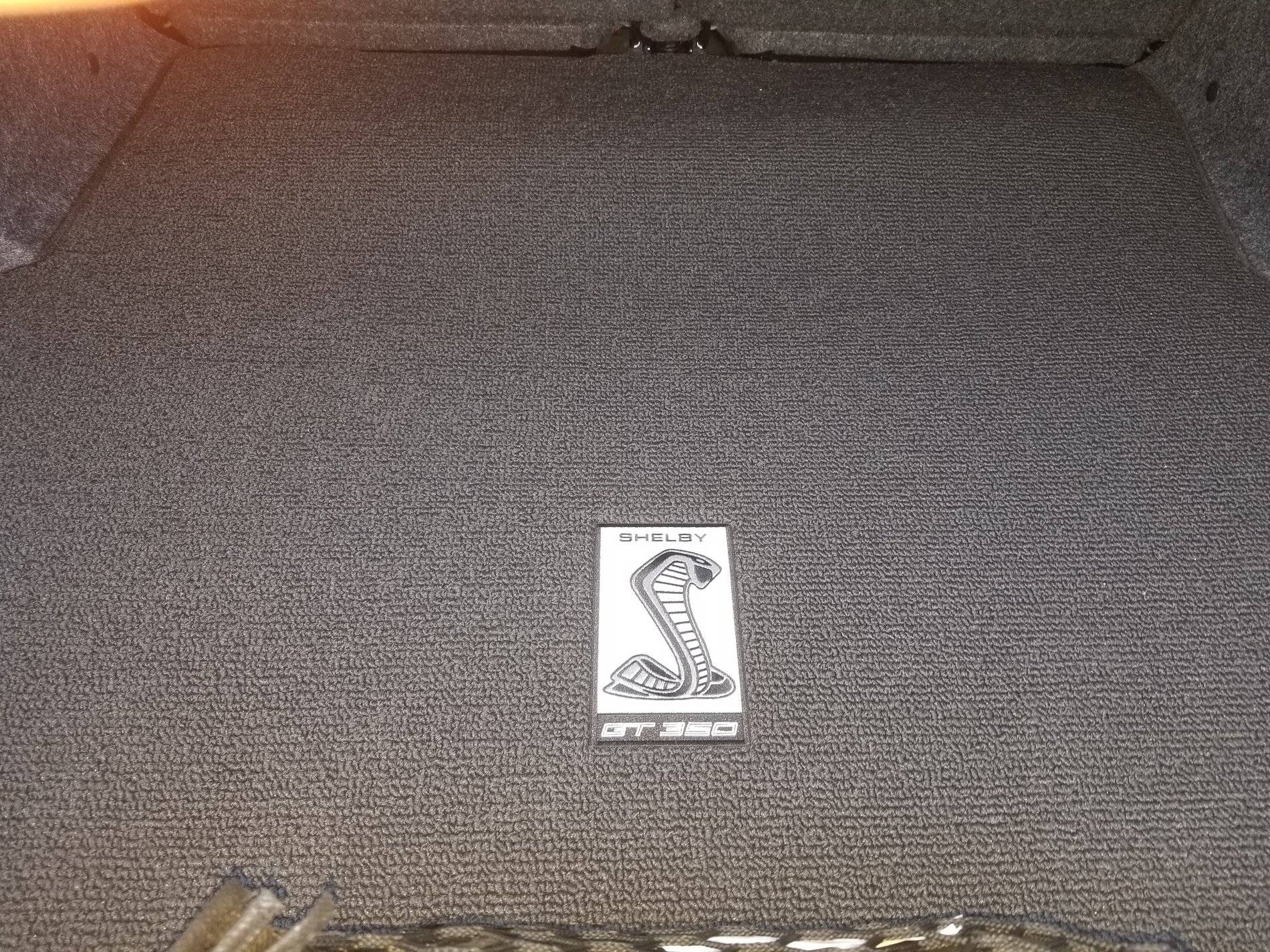 Jan01-trunkmat.jpg
