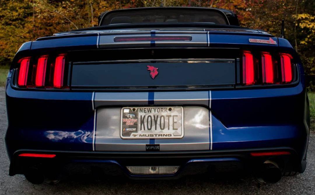 Coyote-1-2.webp