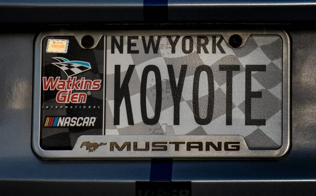 Coyote-2-2.webp