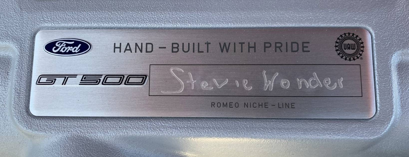 Stevie GT500.jpg