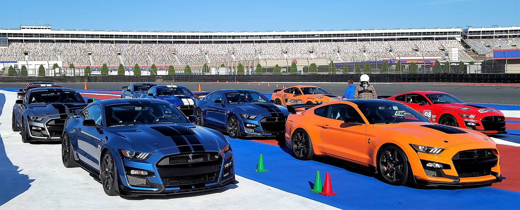 take your pick.jpg