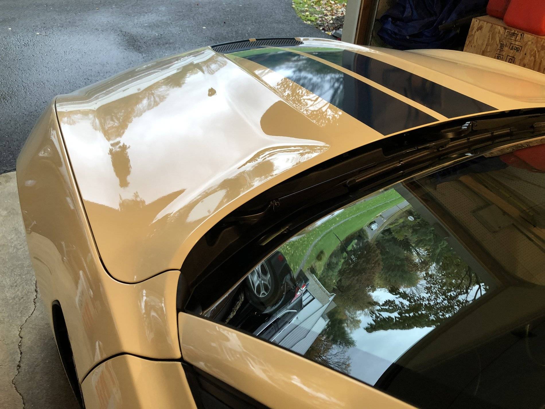 F0851289-22DD-43E6-B47C-D358DDE7CBE3.jpeg
