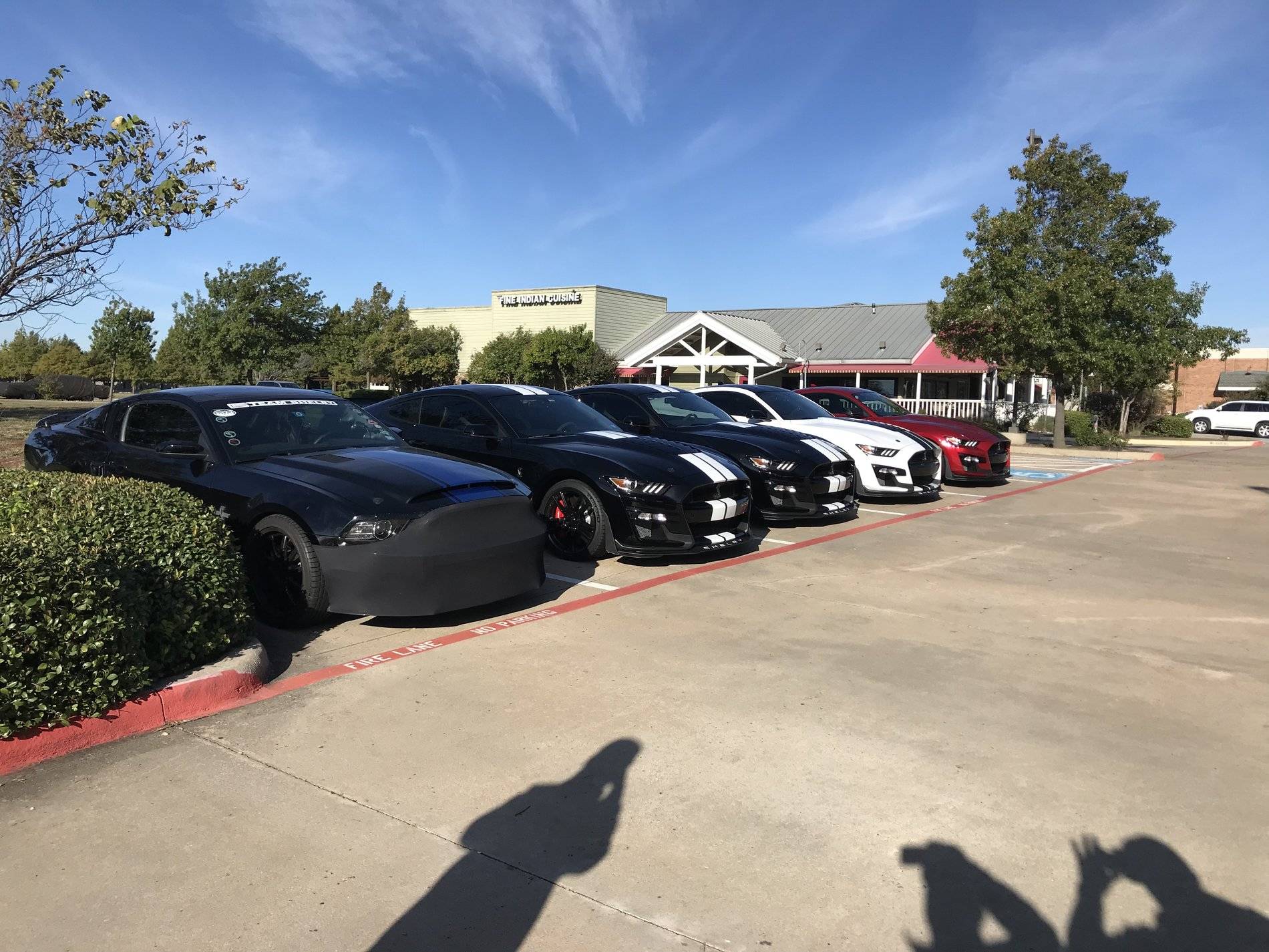 796A4B62-FCA6-4AE5-B22C-0F4895BB19D0.jpeg