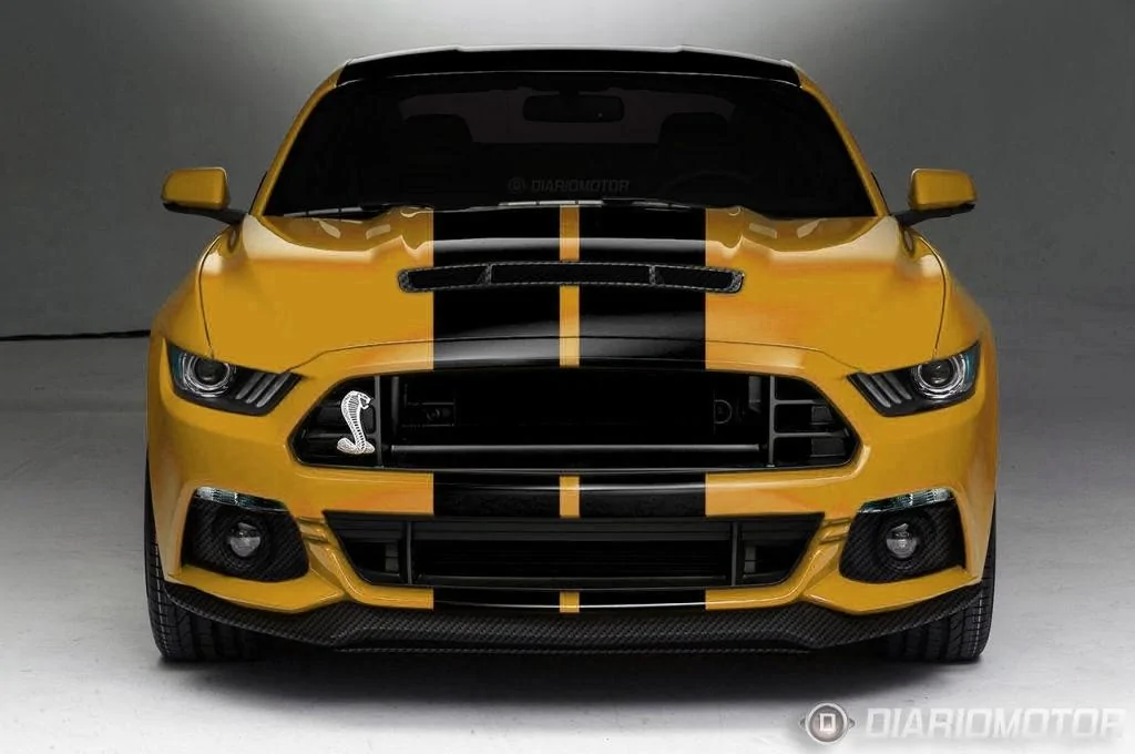 y.webp