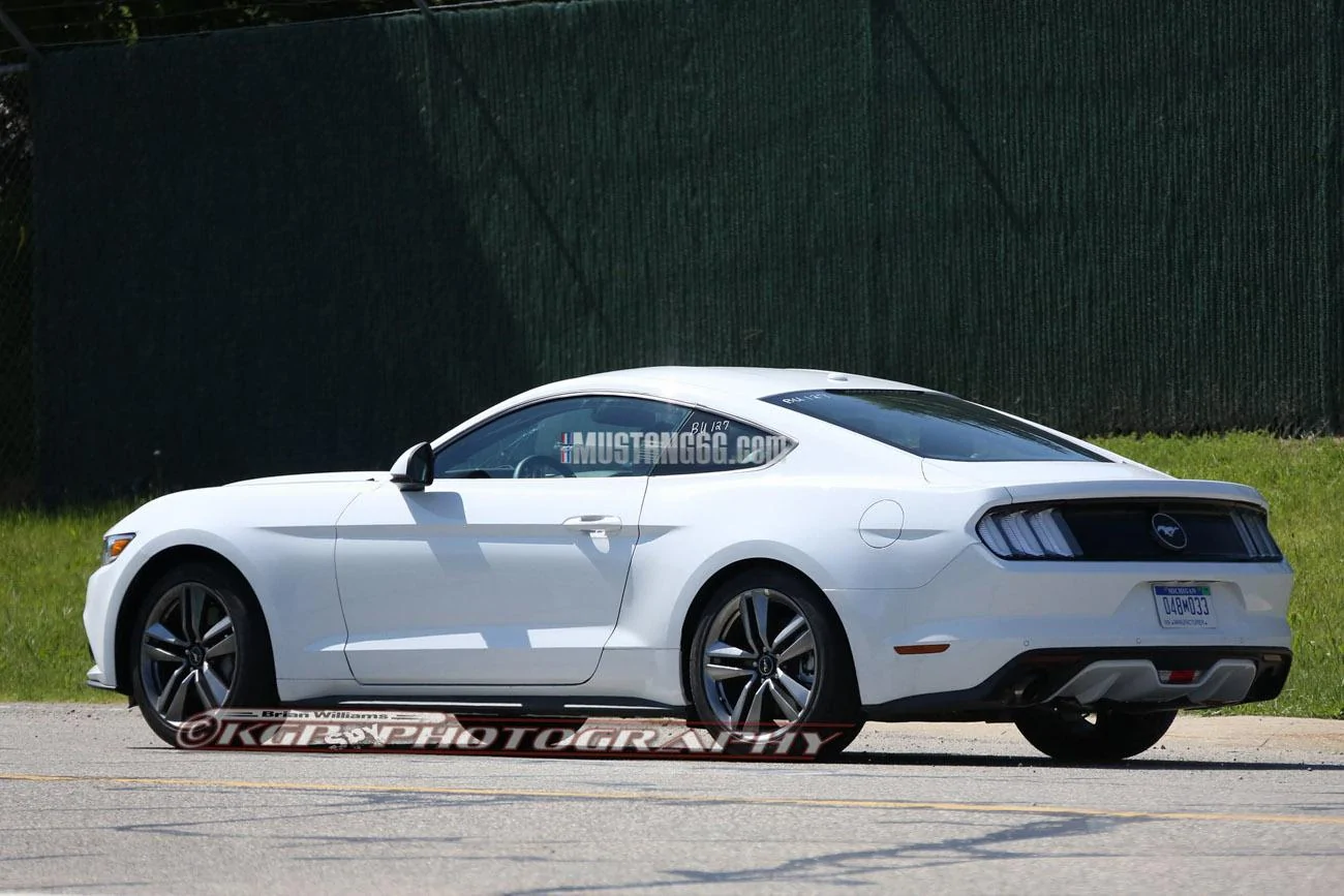 Mustang.eurolens.b12.KGP.ed-3281576905-O.webp