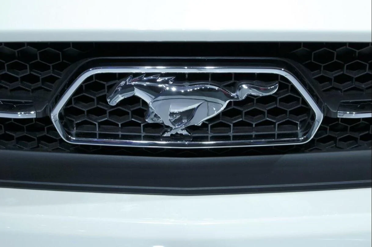 Mustang_Pony_Turns_50.webp