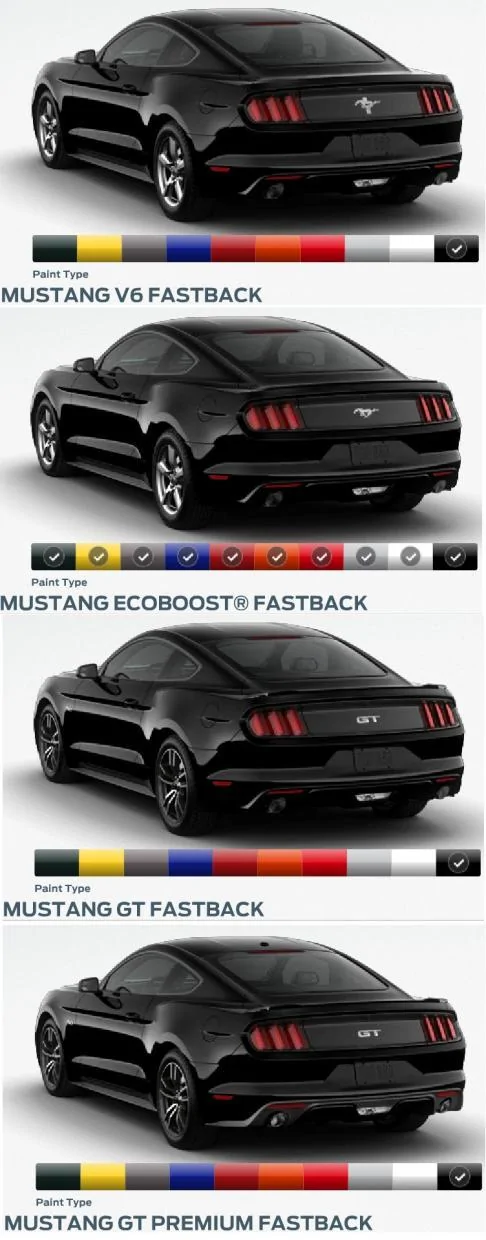Mustang Backs.webp