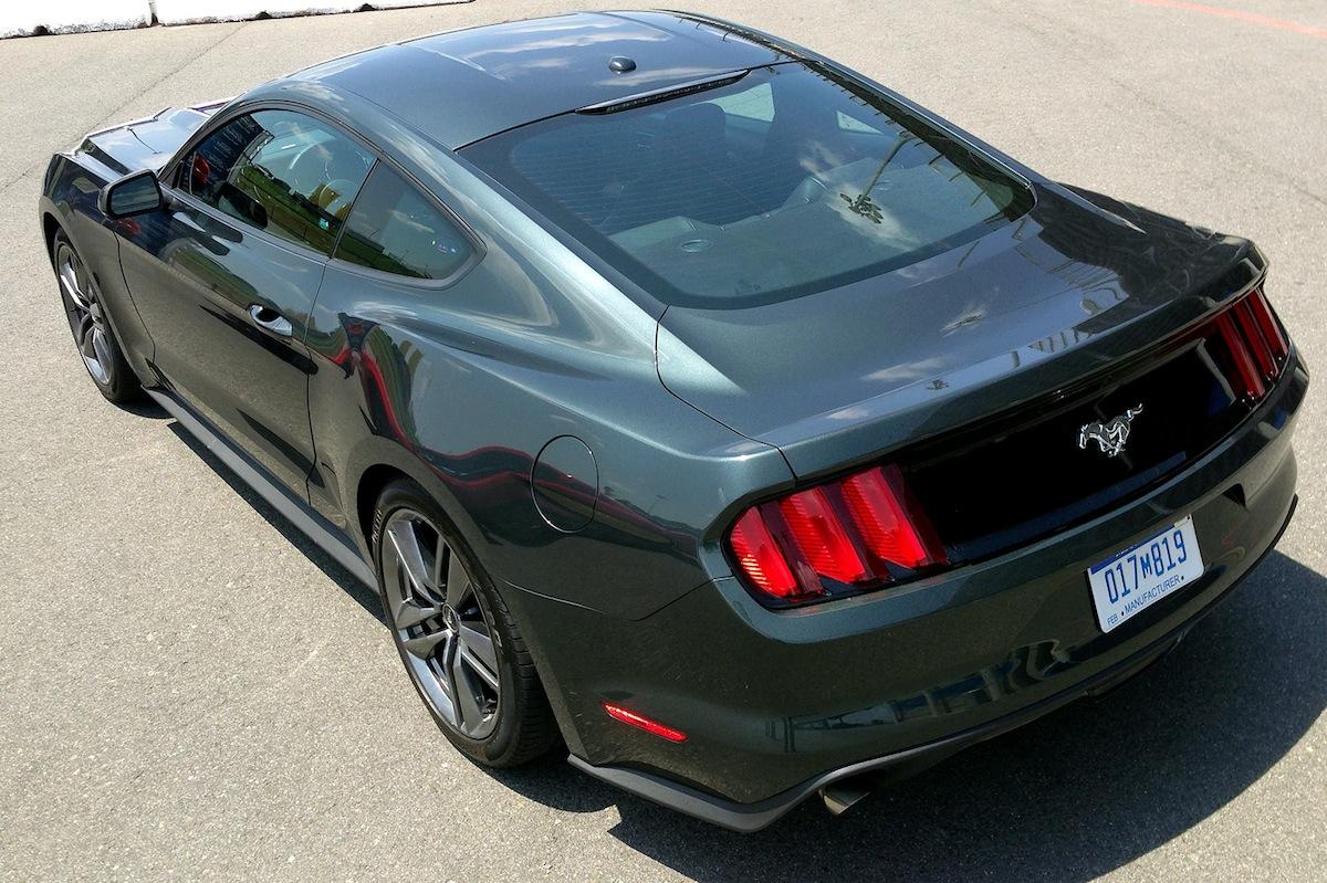 2015 mustang guard1.jpg