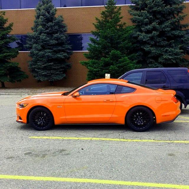 orange.jpg
