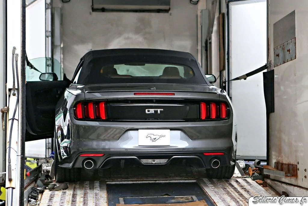 1393664929Ford Mustang Cabriolet 2015 50th Anniversary 002.webp