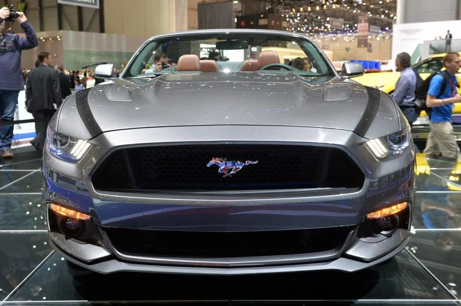 side stripes.webp